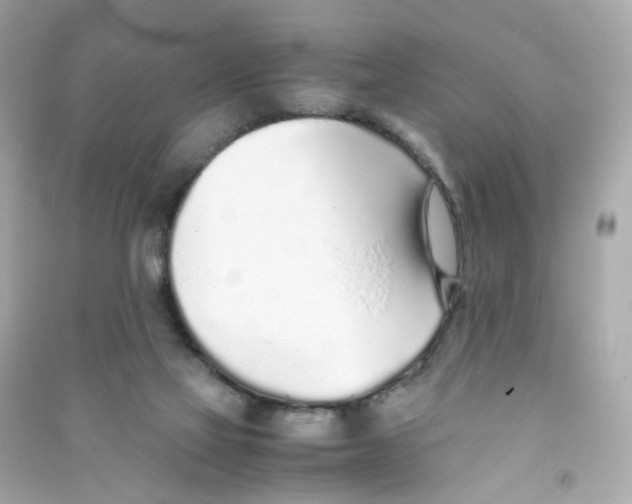 X0000090450069200708102058