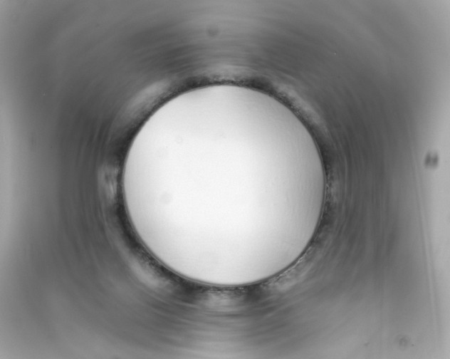 X0000090450070200708102058