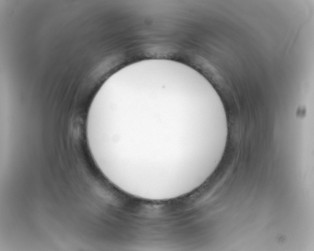 X0000090450071200708102058