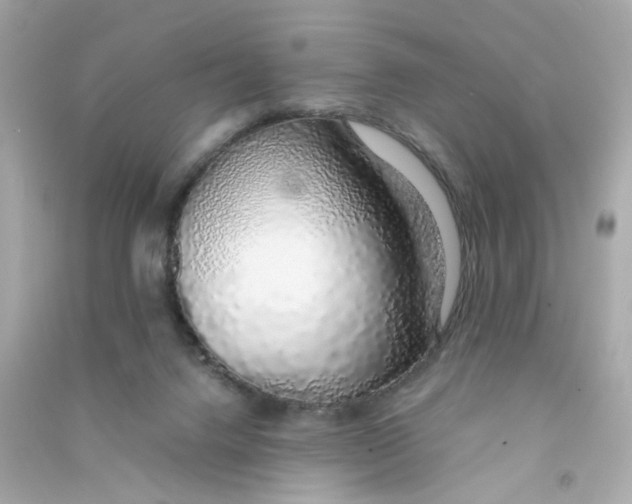 X0000090450072200708102058