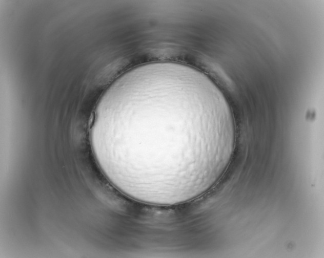 X0000090450073200708102058