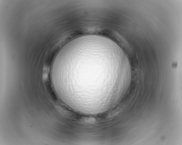 X0000090450075200708102058