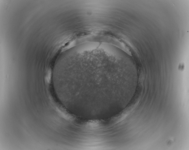 X0000090450076200708102058