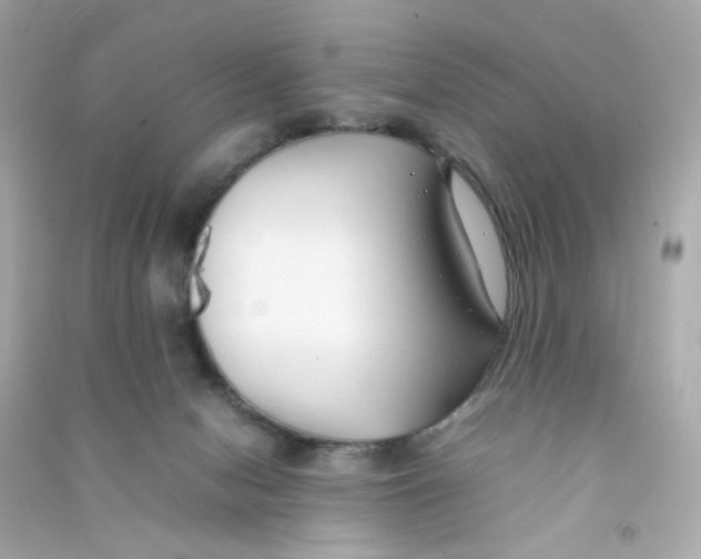 X0000090450078200708102058