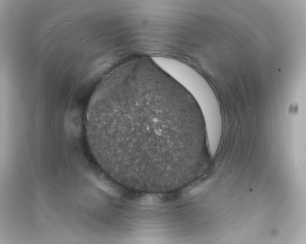 X0000090450080200708102058