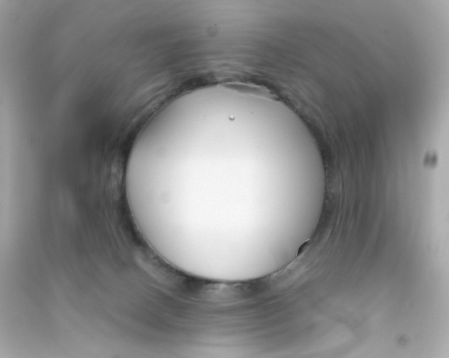 X0000090450082200708102059