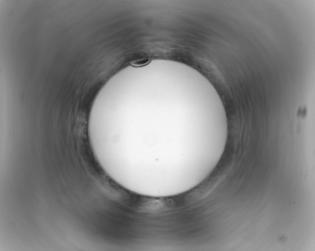 X0000090450083200708102059