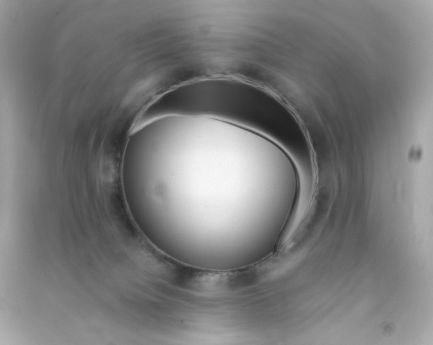 X0000090450084200708102059