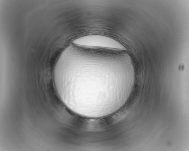 X0000090450085200708102059