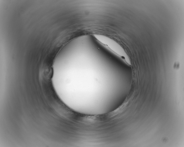 X0000090450086200708102059