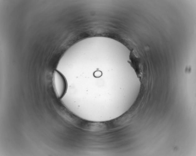 X0000090450087200708102059