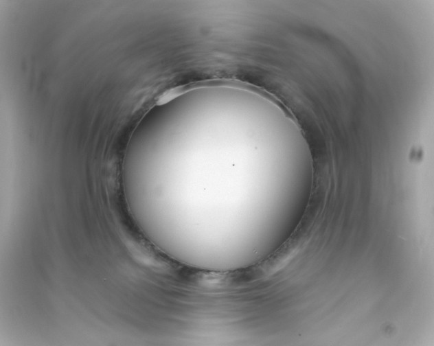 X0000090450088200708102059