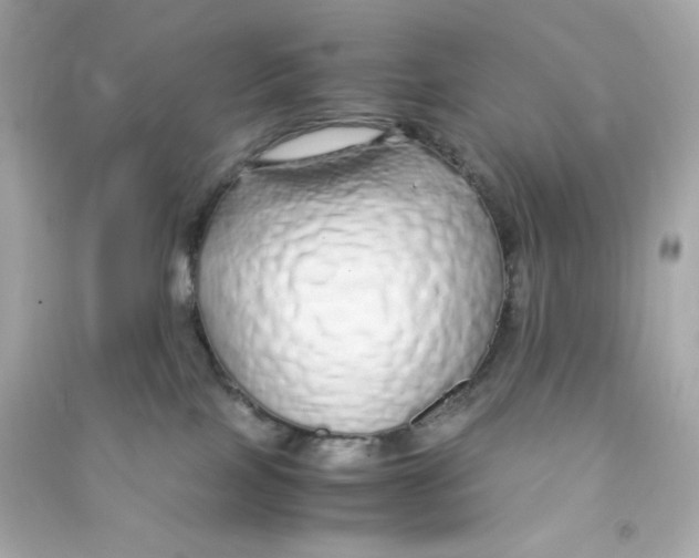 X0000090450089200708102059