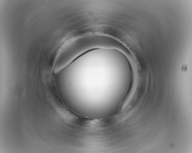 X0000090450092200708102059