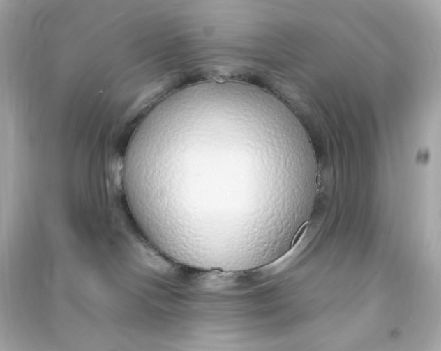 X0000090450094200708102059