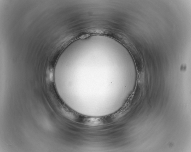 X0000090450095200708102059