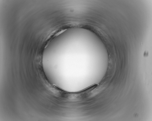 X0000090450096200708102059