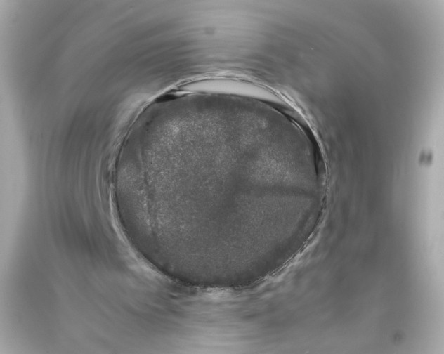 X0000090450097200708102058