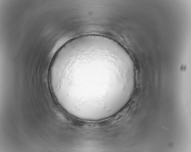 X0000090450099200708102058