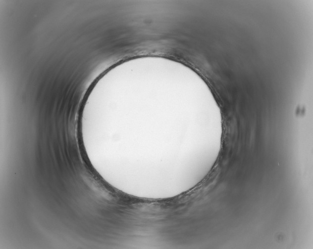 X0000090450100200708102058