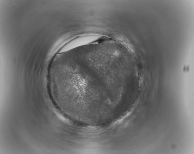 X0000090450101200708102058