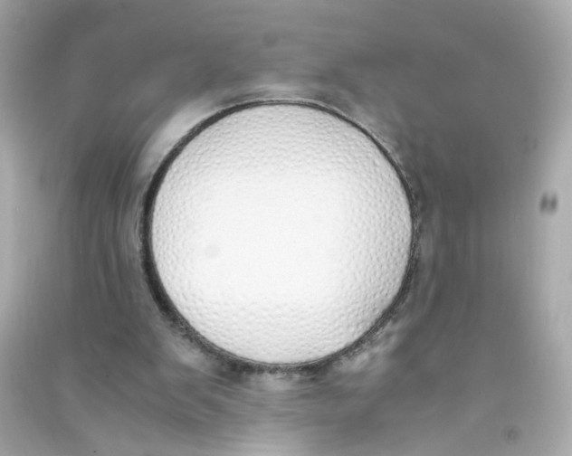 X0000090450103200708102058