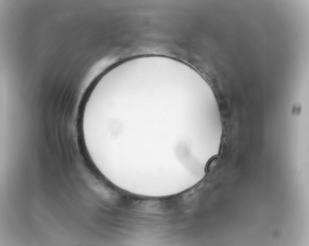 X0000090450104200708102058