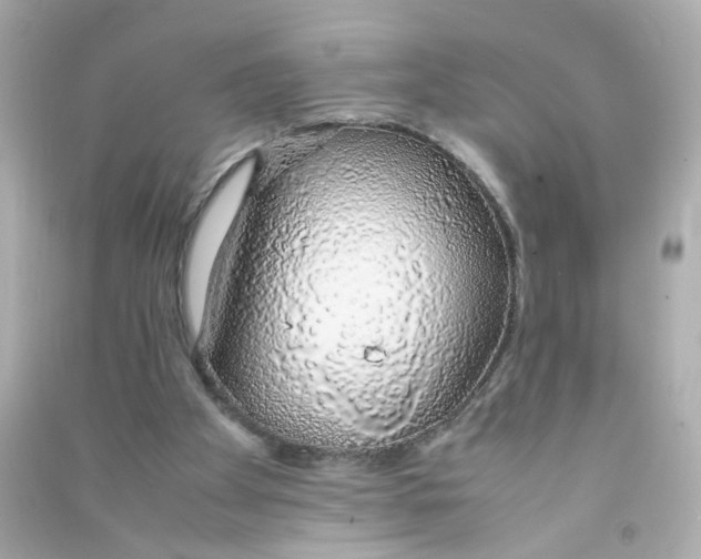 X0000090450105200708102058