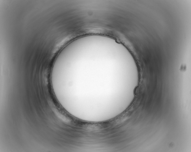 X0000090450106200708102058