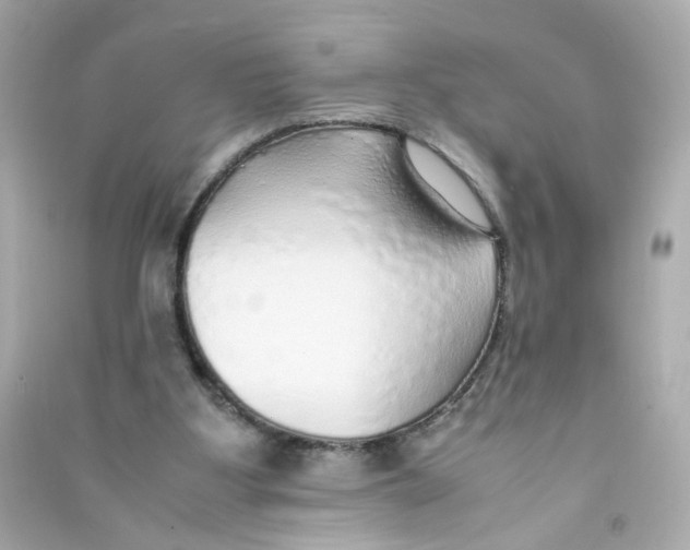 X0000090450107200708102058