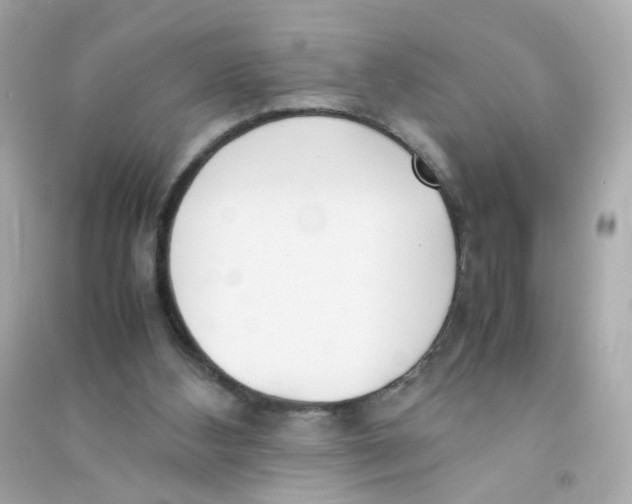 X0000090450108200708102058