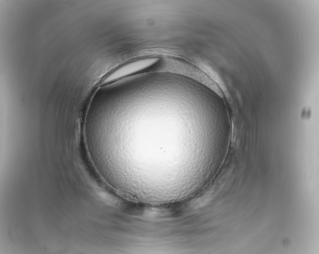 X0000090450109200708102058