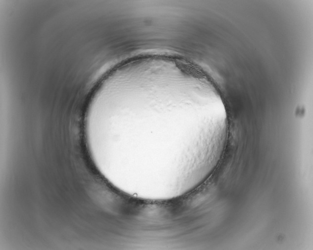 X0000090450111200708102058