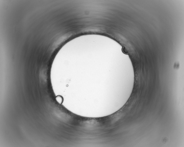 X0000090450112200708102058