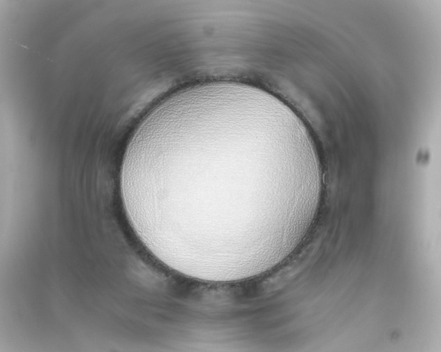 X0000090450113200708102058