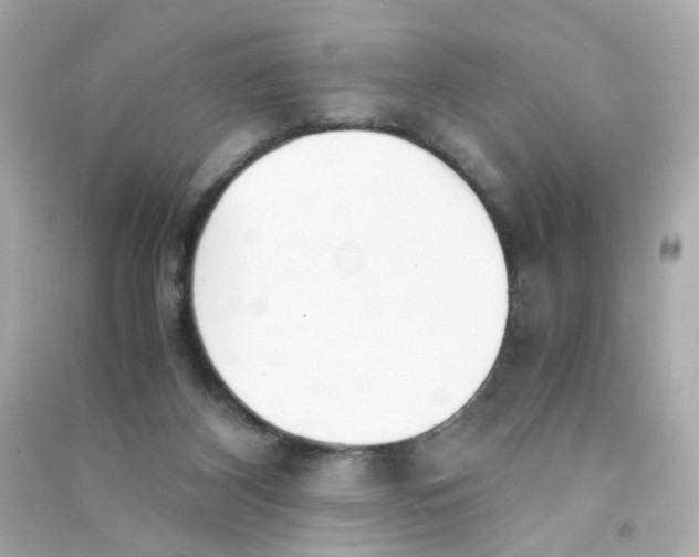 X0000090450116200708102058