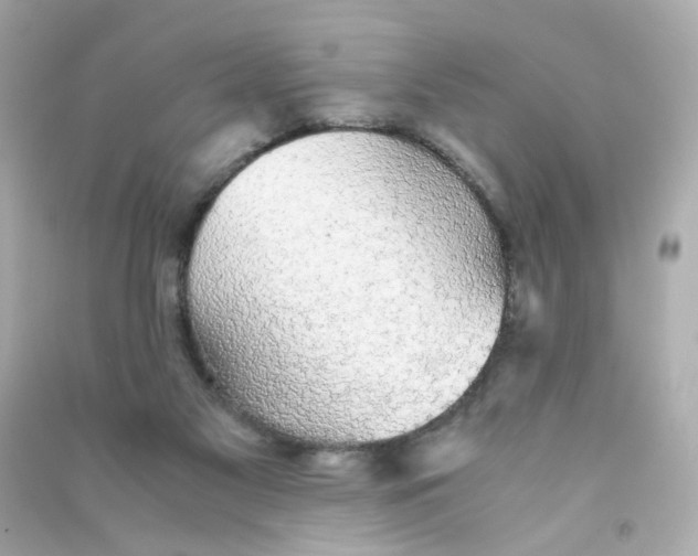 X0000090450117200708102058