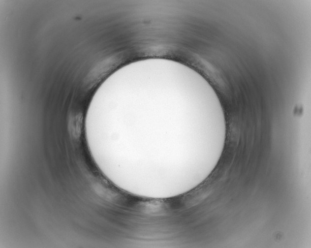 X0000090450118200708102058