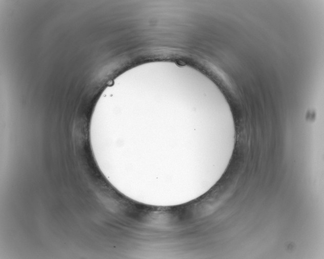 X0000090450119200708102058