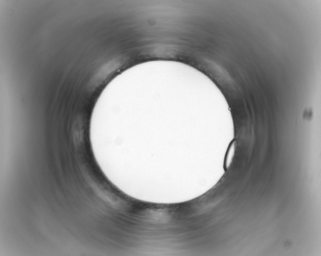 X0000090450120200708102058