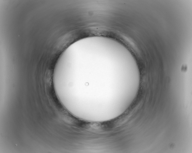 X0000090450121200708102058