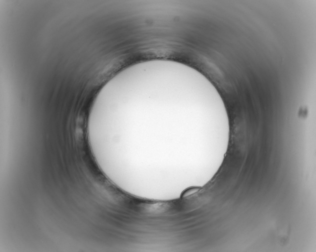 X0000090450122200708102058