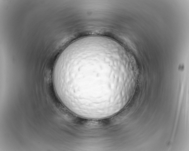 X0000090450123200708102058