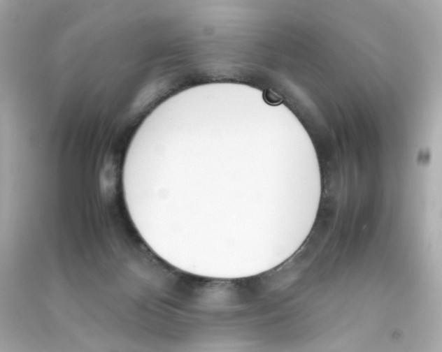 X0000090450124200708102058