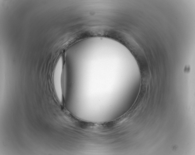 X0000090450125200708102058