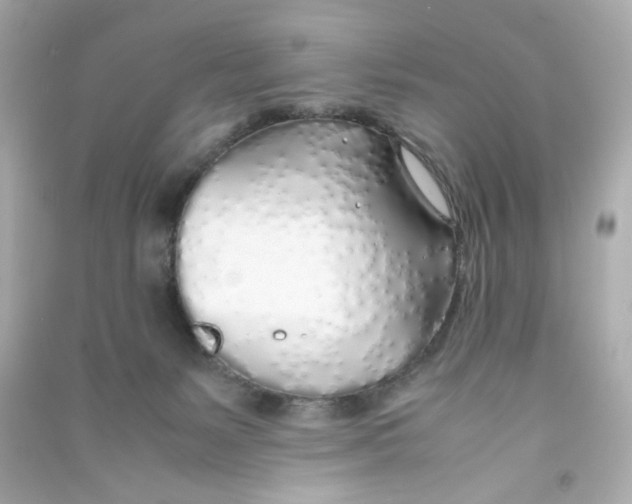 X0000090450127200708102058