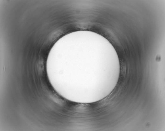 X0000090450128200708102058