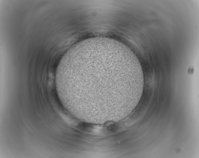 X0000090450130200708102058