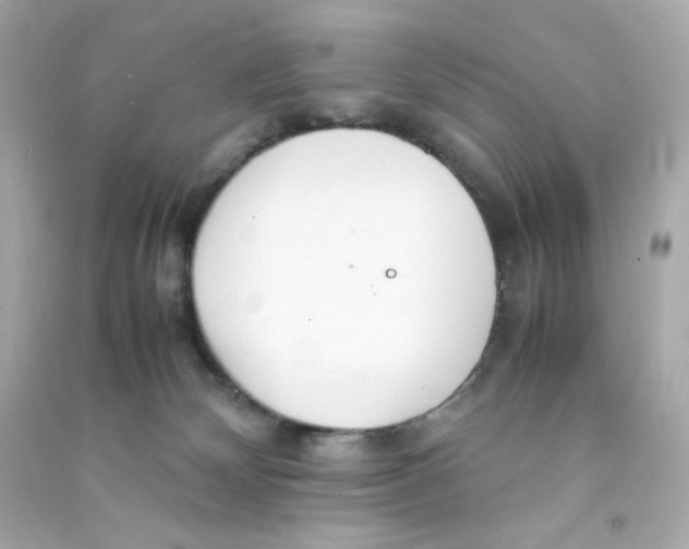 X0000090450132200708102058