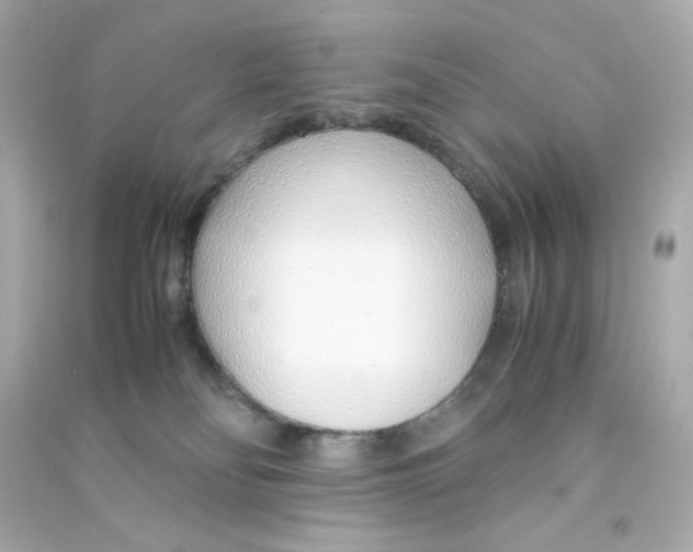 X0000090450134200708102058